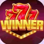 777 Winner