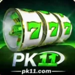 PK11 Game